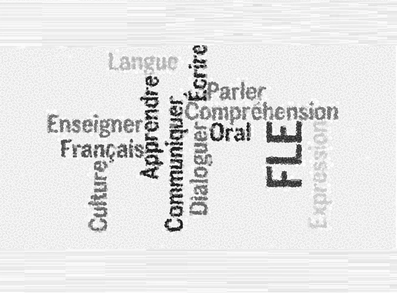 BEM sujets francais